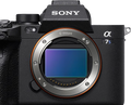 Sony A7S III